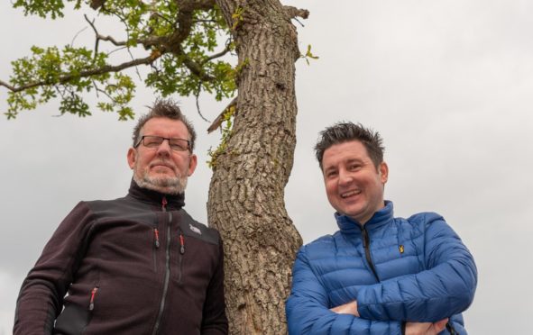 The Milarrochy Oak, nominated for Tree of the Year separately by Gary Chittick and John Cuthbert