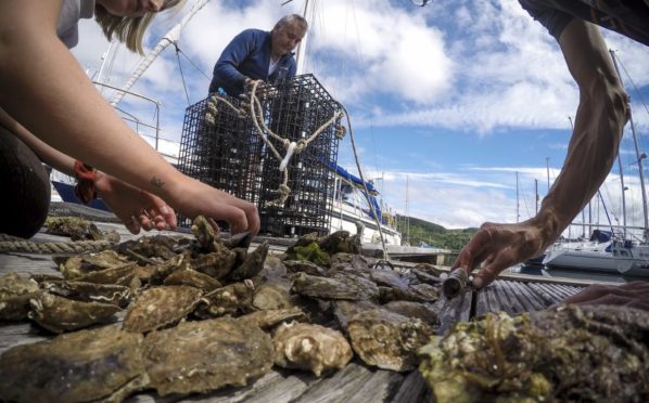 Oyster project volunteers  get to work at Ardfern Yacht Centre