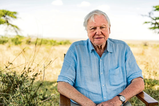 Sir David Attenborough.