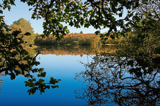 Mugdock Country Park, just outside Milngavie