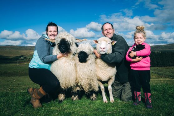 Barbara, Glen and Ava Blacklock with Doris the Dorset Down and her Valais Blacknose lambs at Kirkconnell, Dumfriesshire