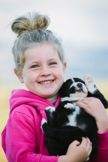 Ava with a Sheepdog puppy