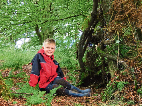 Dens have always been popular with children, in literature and in real life.