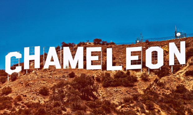 Chameleon: Hollywood Con Queen