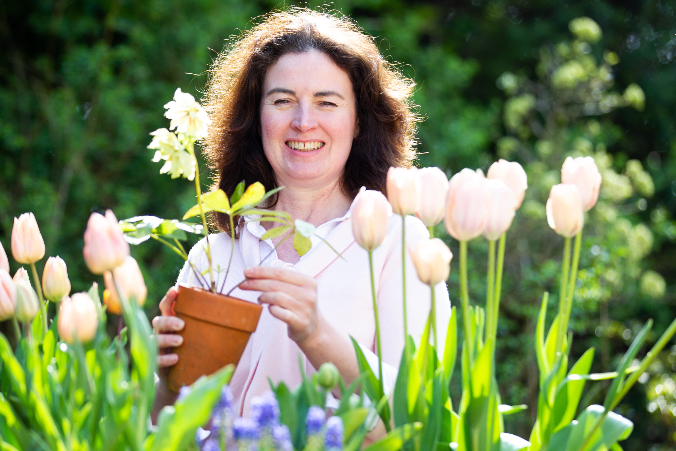 There's no business like sow business as gardeners rush for seeds - Vimarsana News