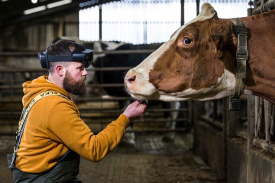 Brian Wetherup, a farmer at Park End Farm in Fife, using the innovative headset to identify one of his cows