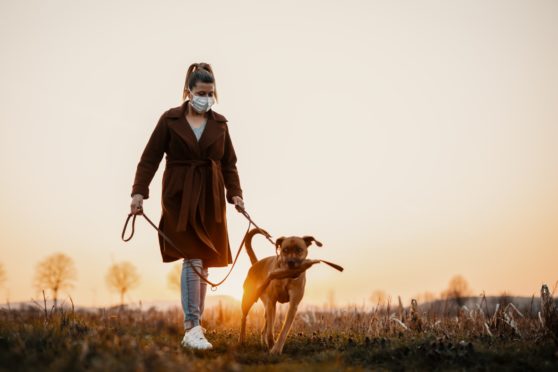 A woman in protective mask walks her pet dog in the countryside