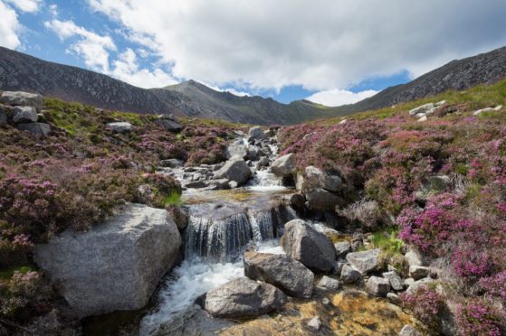 Goatfell on the Isle of Arran where Highland Kings race organisers are accused of vandalising the environment.