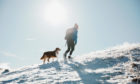 A mountain trek with a canine companion can be a rewarding day out