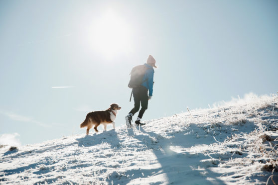 A mountain trek with a canine companion can be a rewarding day out