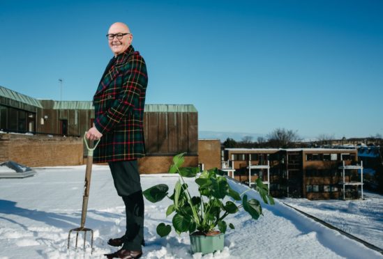 Gardening presenter Murdo MacDonald in his rooftop garden