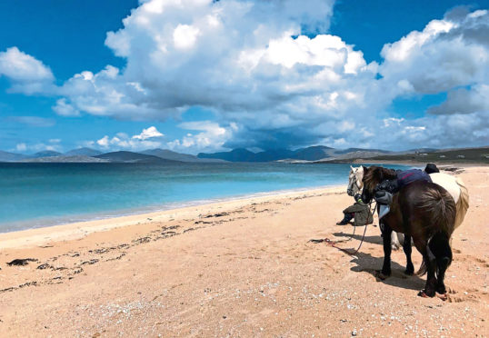 Shuna, Chief and Ross at Scarasta, Harris