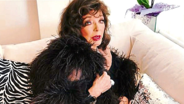 Joan Collins gets her jag in Comic Relief sketch.