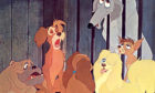 A scene from The Lady and the Tramp.