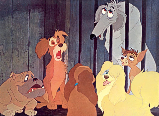 A scene from The Lady and the Tramp.