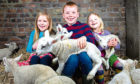 9/4/19 . The Sunday Post, by Andrew Cawley. 
Pics of Rebecca McEwan, owner of Arnprior Farm, who offer lambing sessions for children over the Easter holidays, where children can see lambs being born, and feed them milk. Pic shows Rebecca's children Floraidh (7) Duncan (9), Erin (3),  with orphan lambs. Location: Arnprior Farm, Stirlingshire.