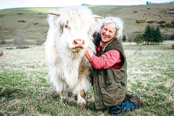 Rosie Douglas and Molly the Highland Cow.