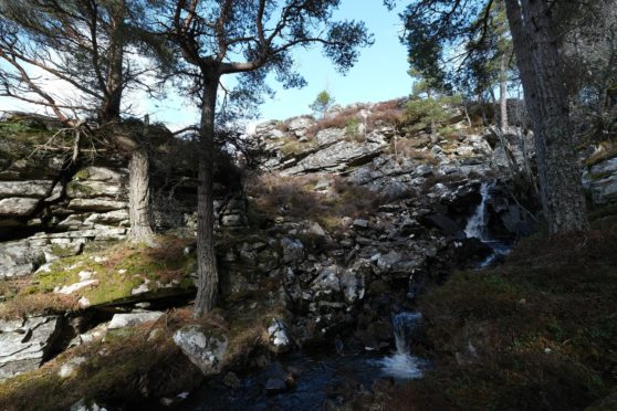 Creag Phadruig at Mar Lodge Estate - a whisky bothy lies hidden below the rock face behind the trees.