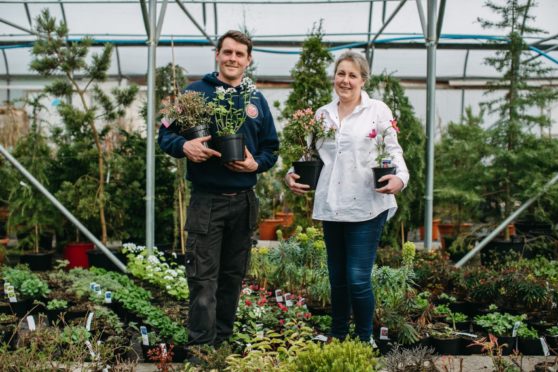 Colin McIndoe and his sister Kathleen Jenkins, owners of The Mill Garden Centre in Armadale