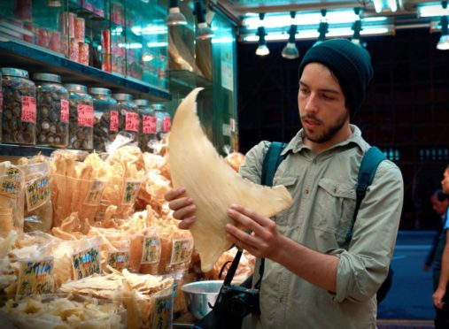 Ali Tabrizi (Filmmaker and avid ocean-lover) handles a shark fin in Seaspiracy.