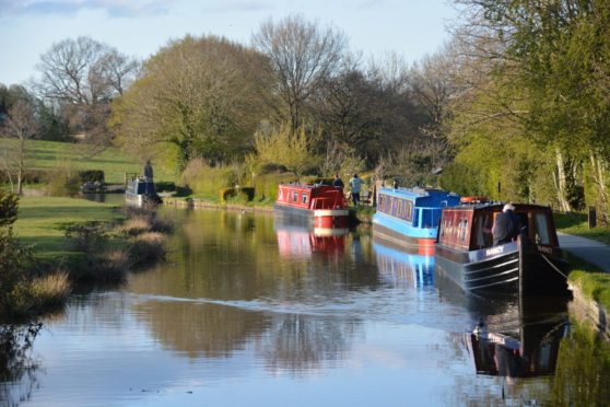 Boats moored along  Llangollen Canal