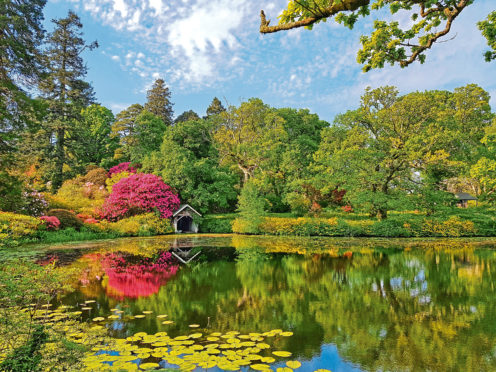 All the hard work at Bargany Estate in Ayrshire has been worth it, revealing the garden as it was intended to be seen, as these spectacular images show