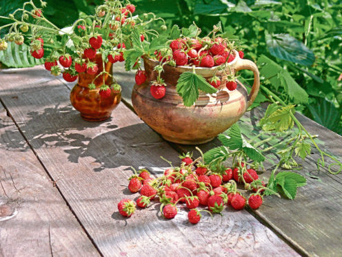 Strawberries as well as being delicious, can be decorative, too
