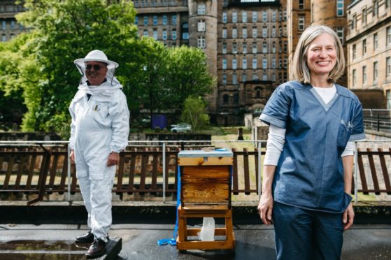 John Stuart and Dr Hilary Wilson, by the hive at Glasgow Royal Infirmary