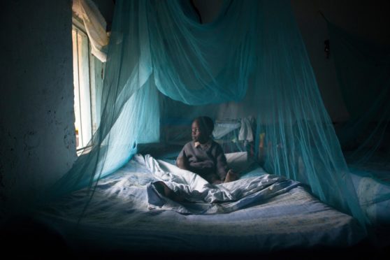 A child underneath a mosquito net, Kenya