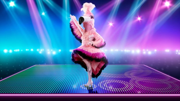 Singer Louise Redknapp as Flamingo before being unmasked