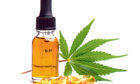 Cannabis oil used to treat pain
