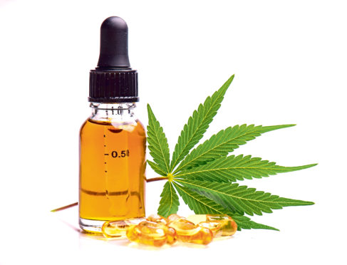 Cannabis oil used to treat pain