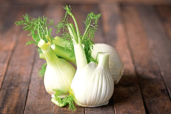 Fresh fennel is easy to grow in gardens.