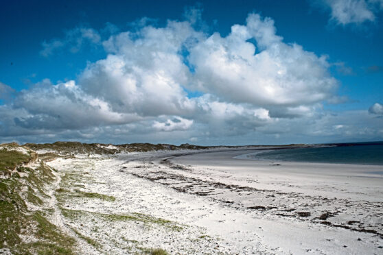 The tiny grass was found on sand dunes in North Uist