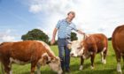Farmer and sound therapist Malcolm Gough with his miniature cattle