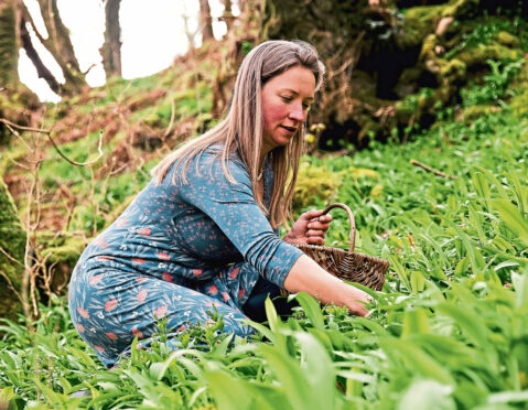 Foraging for wild garlic.