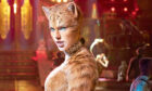 Taylor Swift in the 2019 movie version of Cats