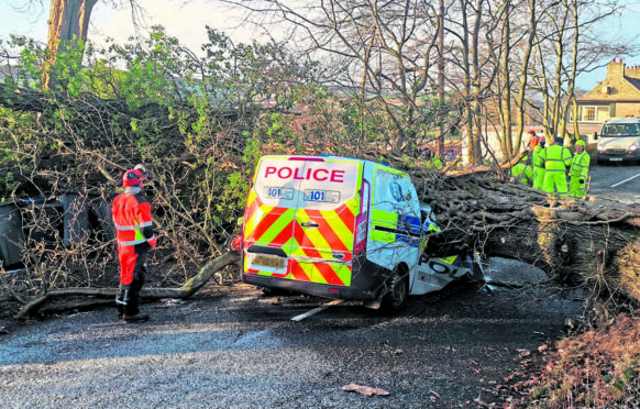 Crews remove a huge, fallen tree yesterday after it crushed a police van in Aberdeenshire  during the storm
