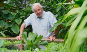 Sir David Attenborough with a Water Lettuce plant at Kew Gardens, London
