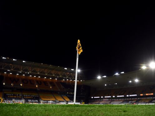 Wolves have added to their attacking options (Michael Regan/PA)