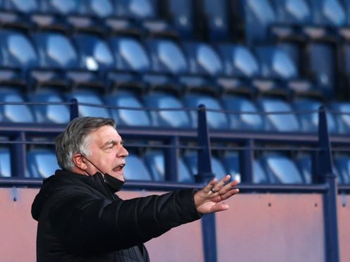 Sam Allardyce believes the fear factor can help West Brom survive the drop (Michael Steele/PA)