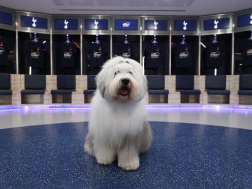 Dulux has been forced to apologise after mocking Tottenham on Twitter (Dulux handout/PA)