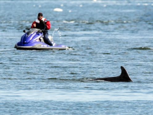 People are being warned over disturbance to dolphins on the UK coasts (Whale and Dolphin Conservation/C Phillips/PA)
