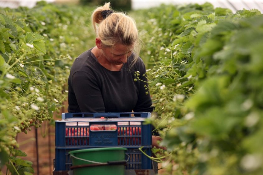 Seasonal workers farmers