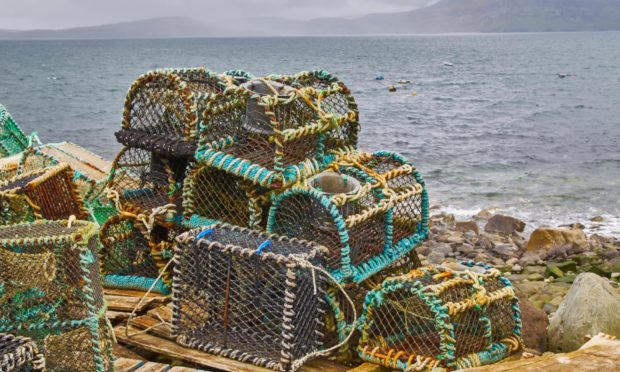 Scottish shellfish ban