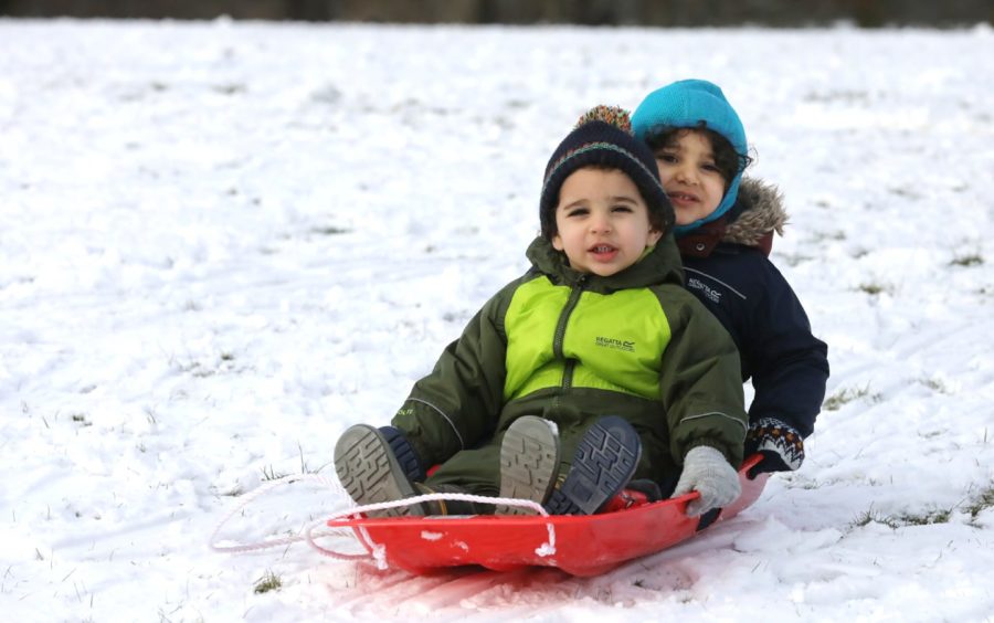 Fares & Adham sledging at Camperdown Park on Monday, February 1.