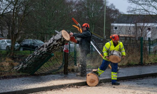 Workers used chainsaws to remove the fallen tree