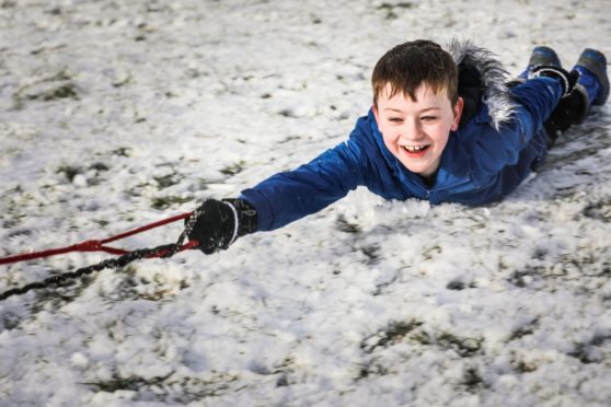 Max Allan, 8, is pulled along on his sledge by his dogs Chewie and Scooby in Camperdown Park on Saturday, January 30 2021.