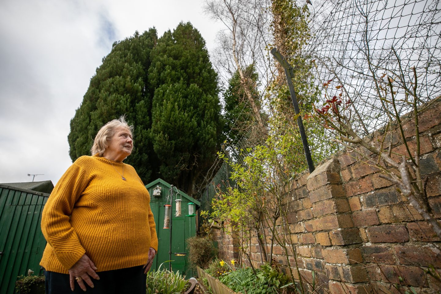 pensioner overgrown trees garden Dundee