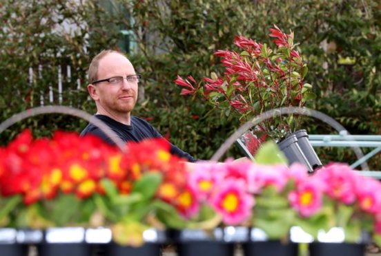 Garden Centres Dundee reopening